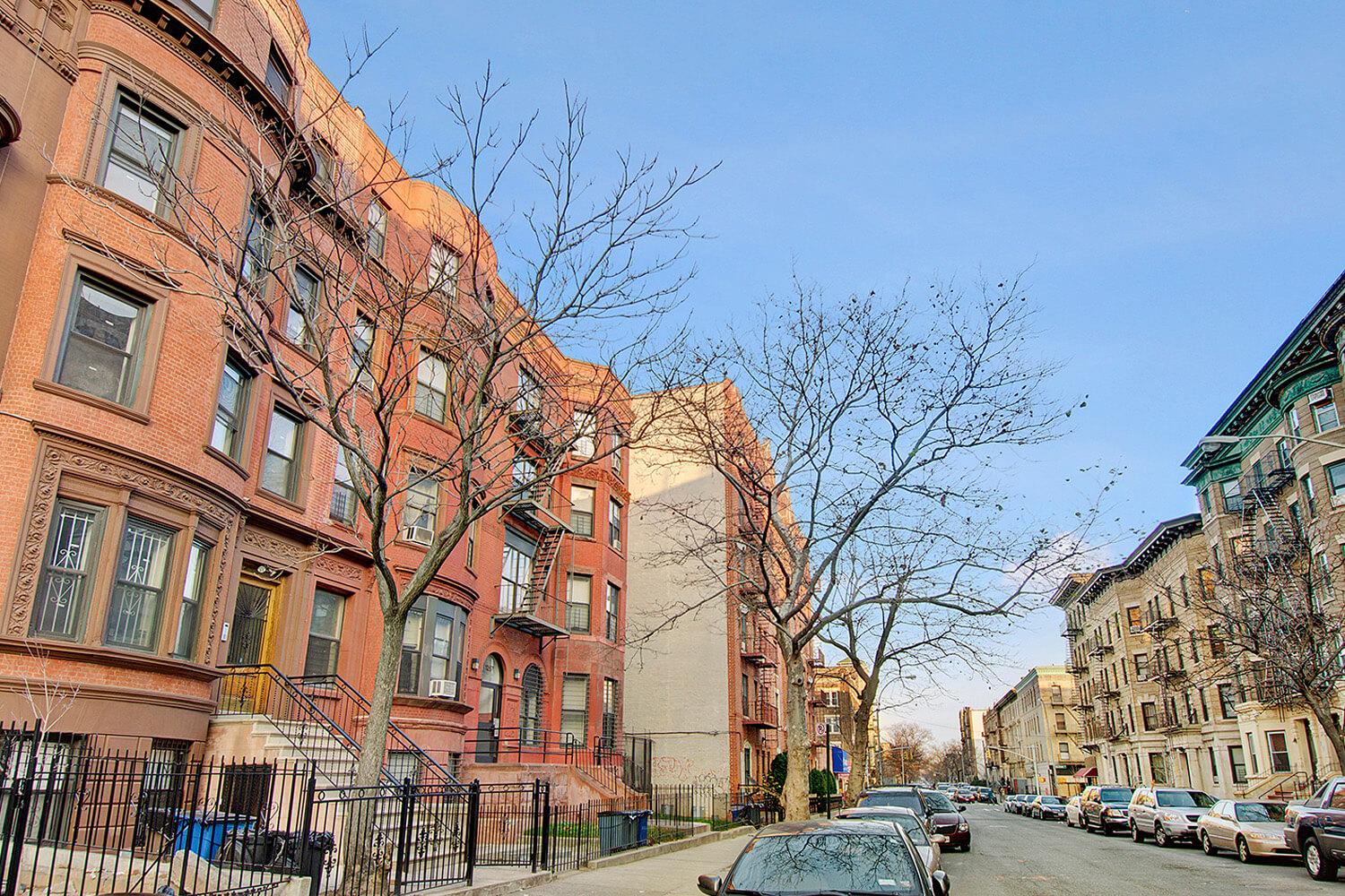 1263PacificSt2-CrownHeightsNewYork_Alexander_Maroni_DouglasElliman_Photography_4583016_high_res